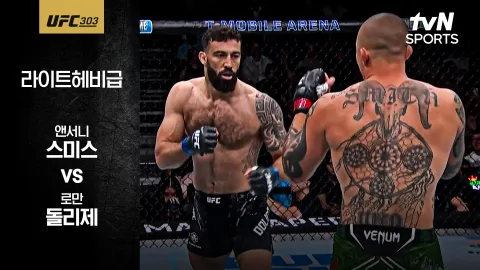 앤서니 스미스 vs 로만 돌리제 [UFC 303] 하이라이트