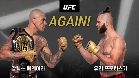 알렉스 페레이라 vs 유리 프로하스카 [UFC 303]