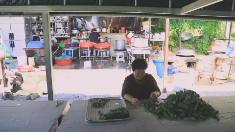 909. 전국 할매 손맛 자랑 1부 산나물 먹으러 오지