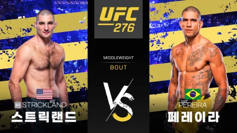 션 스트릭랜드 vs 알렉스 페레이라 [UFC 276] 하이라이트