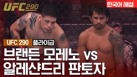 브랜든 모레노 vs 알레샨드리 판토자 [UFC 290] 하이라이트
