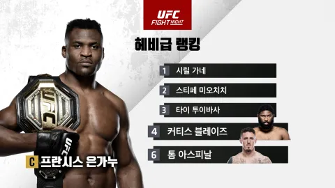 패디 핌블렛 vs 조던 레빗 [UFC REVIEW FIGHT SHOW] 하이라이트
