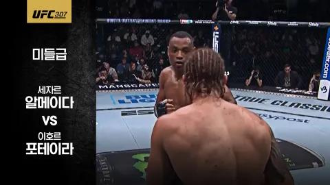 세자르 알메이다 vs 이호르 포테리아 [UFC 307] 하이라이트