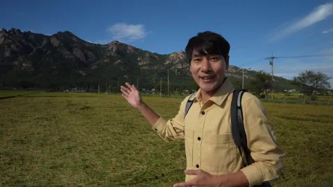 986. 오! 강해영 4부 영암에 가면