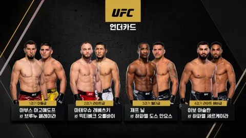 일리아 토푸리아 vs 맥스 할로웨이 [UFC 308]