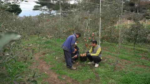 1025. 현지인처럼 살아볼까 3부 김마담의 ′상주′일기