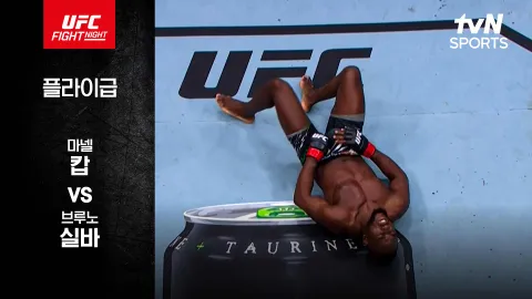 마넬 캅 vs 브루노 실바 [UFC FIGHT NIGHT] 하이라이트