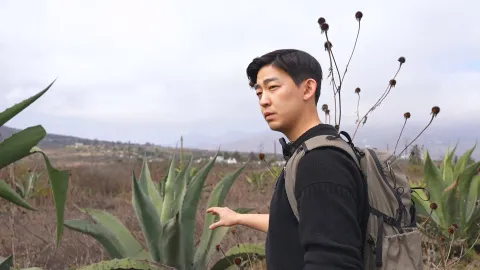 1177. 이 맛에, 멕시코-바바코아의 성지, 악토판