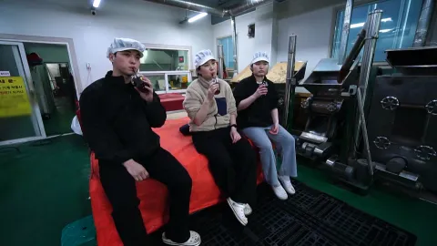 1097. 네가 있어 봄이다 5부 삼남매가 용감하게
