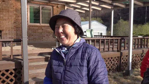 320. 지금 제철! 쑥과 명이나물
