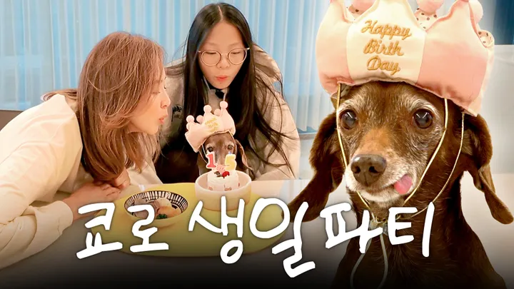 12. 쿄로 생일 파티