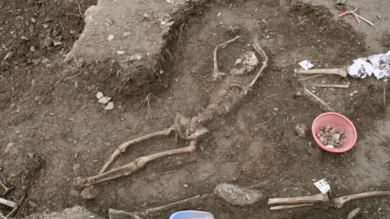 206 : 사라지지 않는