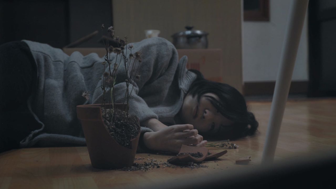 밤이사