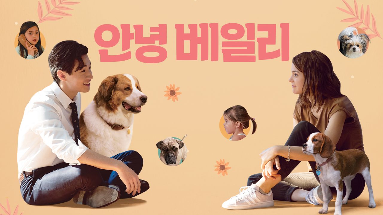 안녕 베일리