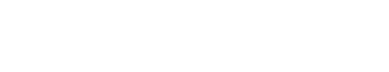 간츠-퍼펙트 앤서