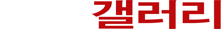 슈팅 갤러리