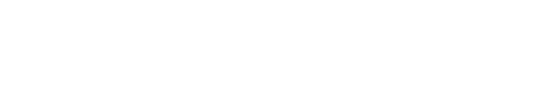 나이트 크롤러