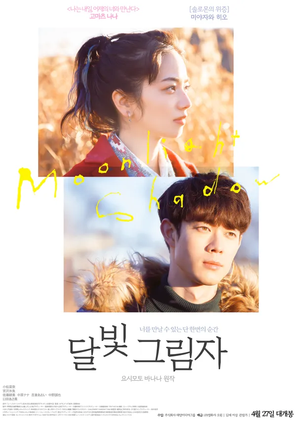 달빛 그림자