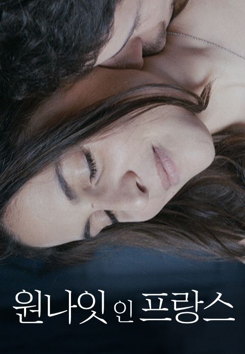 원나잇 인 프랑스