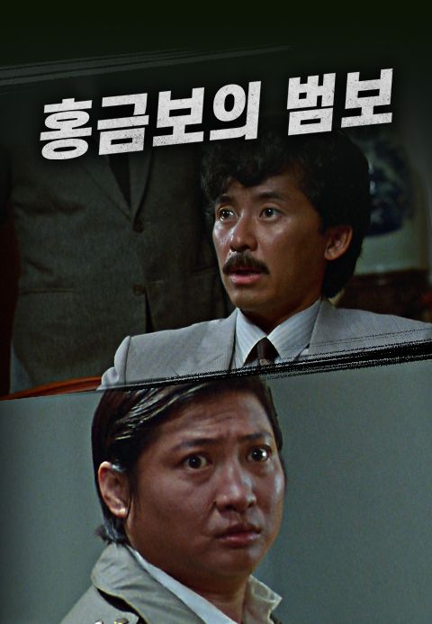 홍금보의 범보