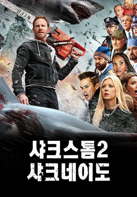 샤크스톰 2 : 샤크네이도