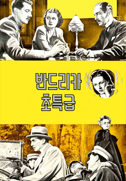 반드리카 초특급