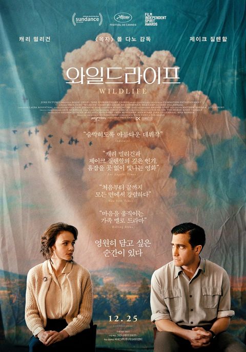 [판매종료]와일드라이프