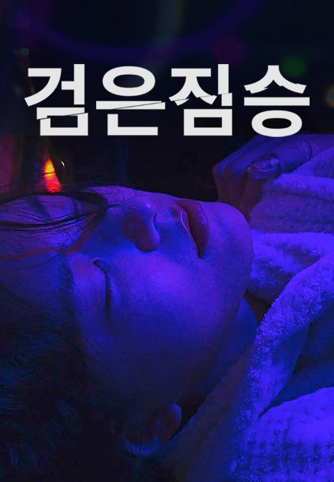 검은 짐승