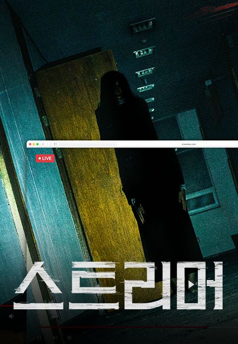 스트리머
