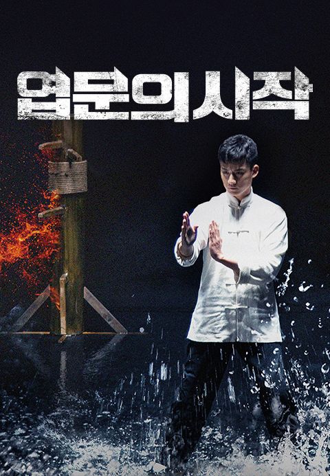 엽문의 시작