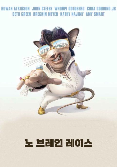 노 브레인 레이스