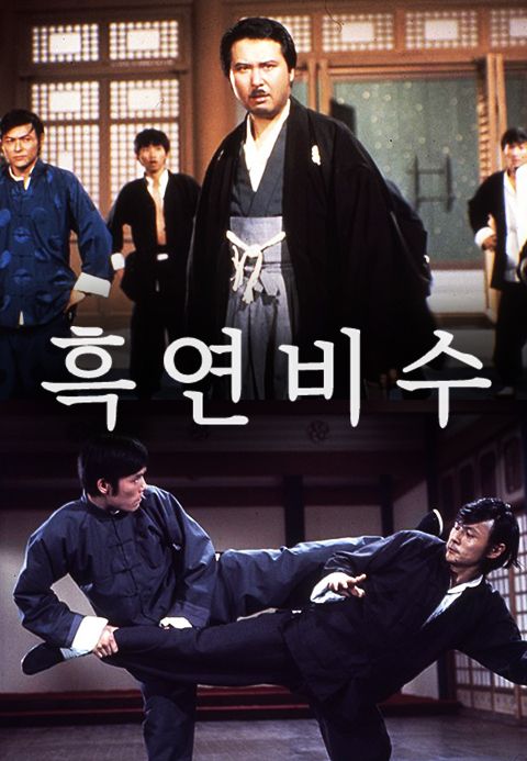 흑연비수