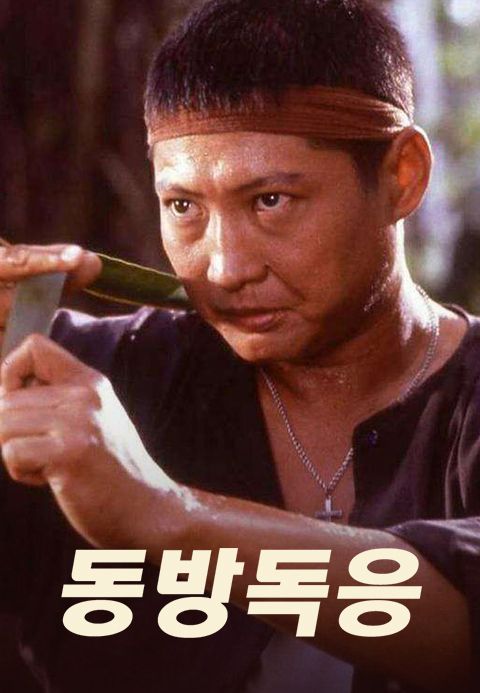 동방독응