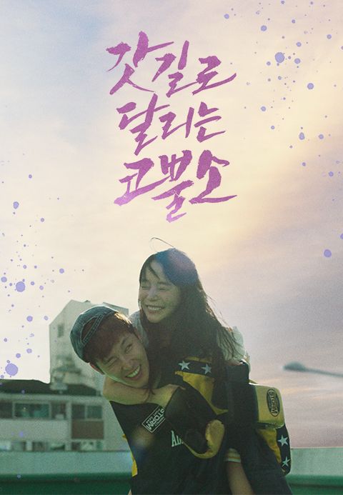 갓길로 달리는 코뿔소