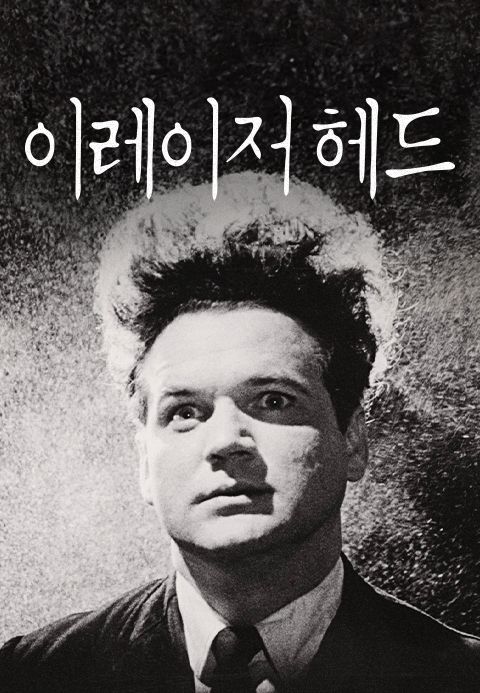 [판매종료]이레이저 헤드