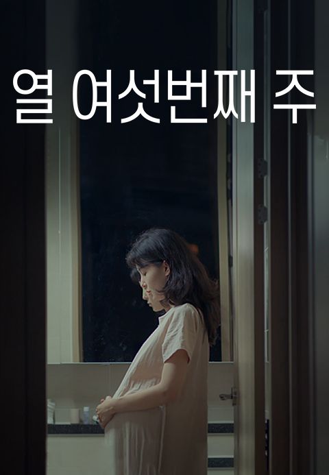 열 여섯번째 주