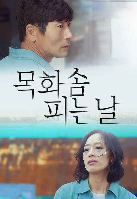 목화솜 피는 날