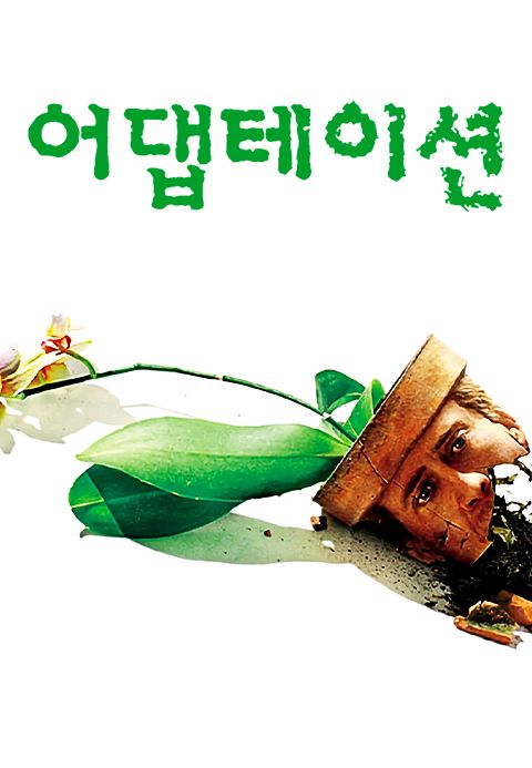 어댑테이션