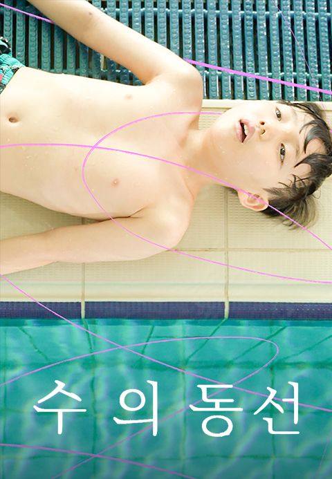 수, 의 동선