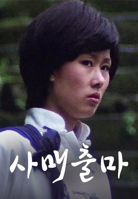 사매출마