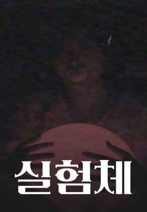 실험체