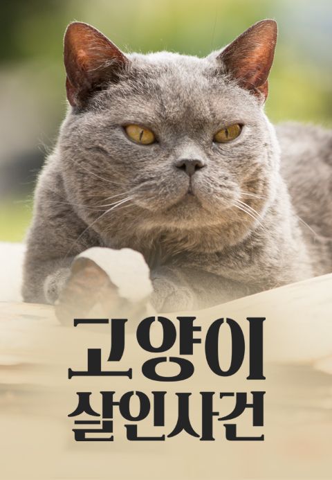 고양이 살인사건