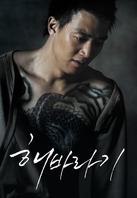 해바라기