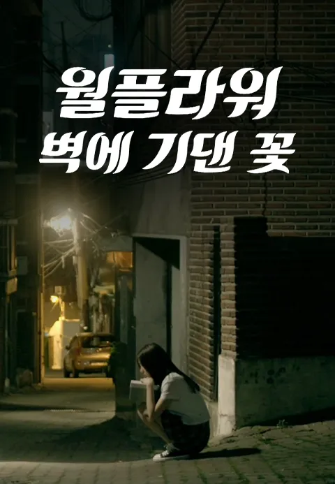 월플라워 벽에 기댄 꽃