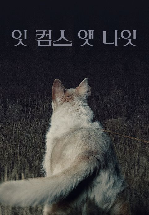 잇 컴스 앳 나잇