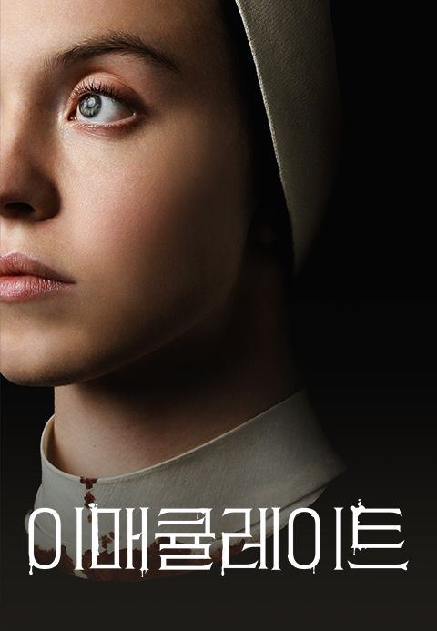 이매큘레이트