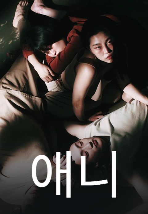 애니