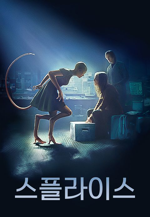 [판매종료]스플라이스