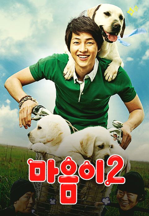 마음이 2