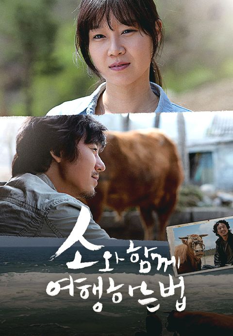 소와 함께 여행하는 법
